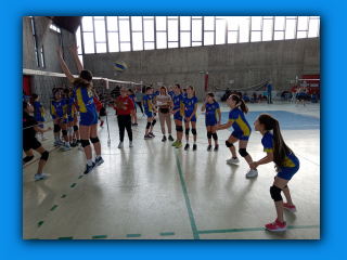 Volley.S3.Gerenzano.25.02.2024 (74).jpg